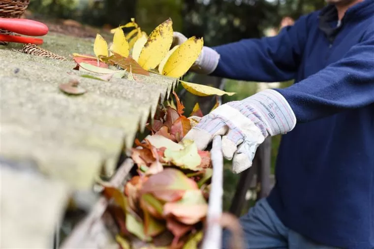 Comment nettoyer des gouttières qui sont obstruées par des feuilles ?, Bagnolet, Brion Couverture